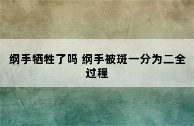 纲手牺牲了吗 纲手被斑一分为二全过程